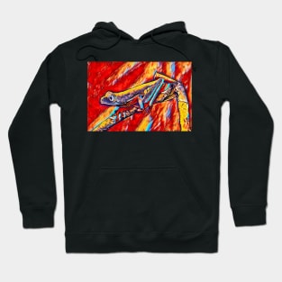 Tiger Legged Monkey Frog Hoodie